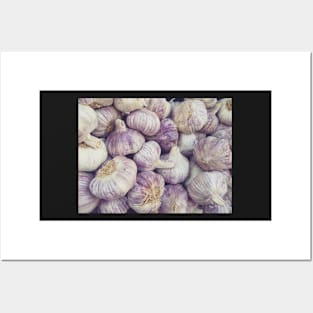 Purple Garlic 2 Posters and Art